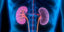Kidney & Stone