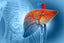 Liver Care