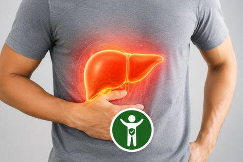 Liver Health Support