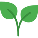 100% Ayurvedic